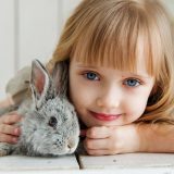 5 tipos de animais para ter em apartamento