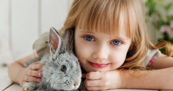 5 tipos de animais para ter em apartamento