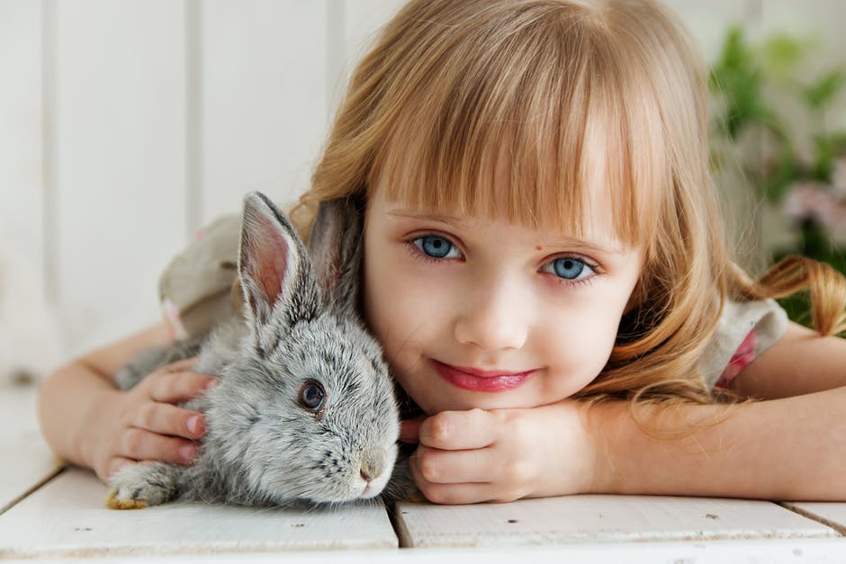 5 tipos de animais para ter em apartamento