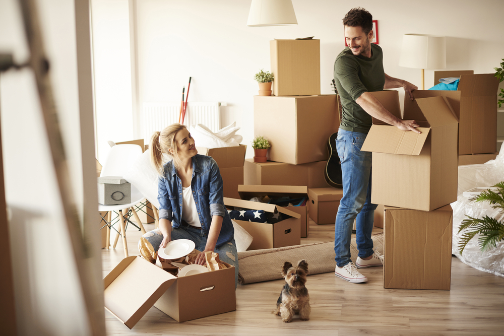 planta-de-apartamento-mudanca