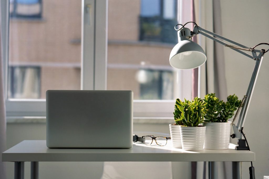 Decoração com plantas em apartamentos pequenos