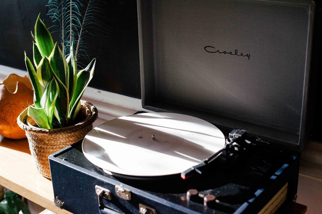 Plantas como decoração