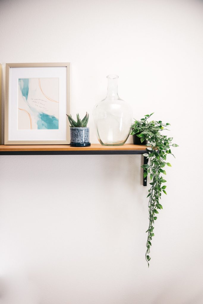 Plantas na parede