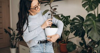 Jardim em casa: aprenda como fazer